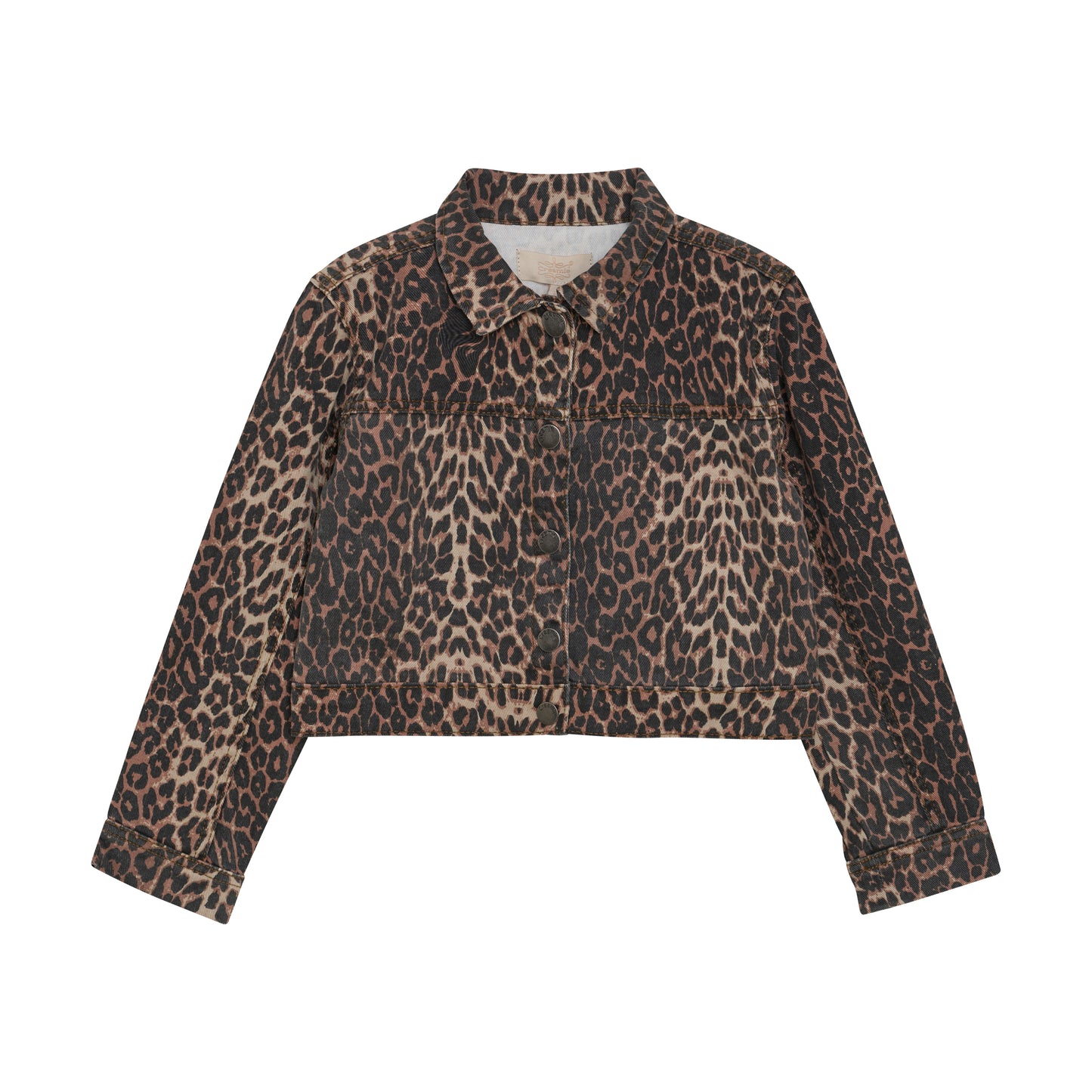 Jakki - Brown Leo