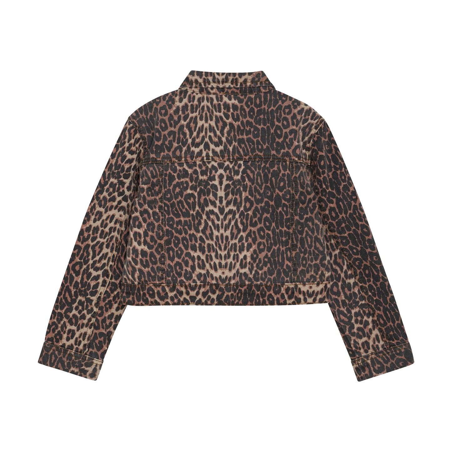 Jakki - Brown Leo