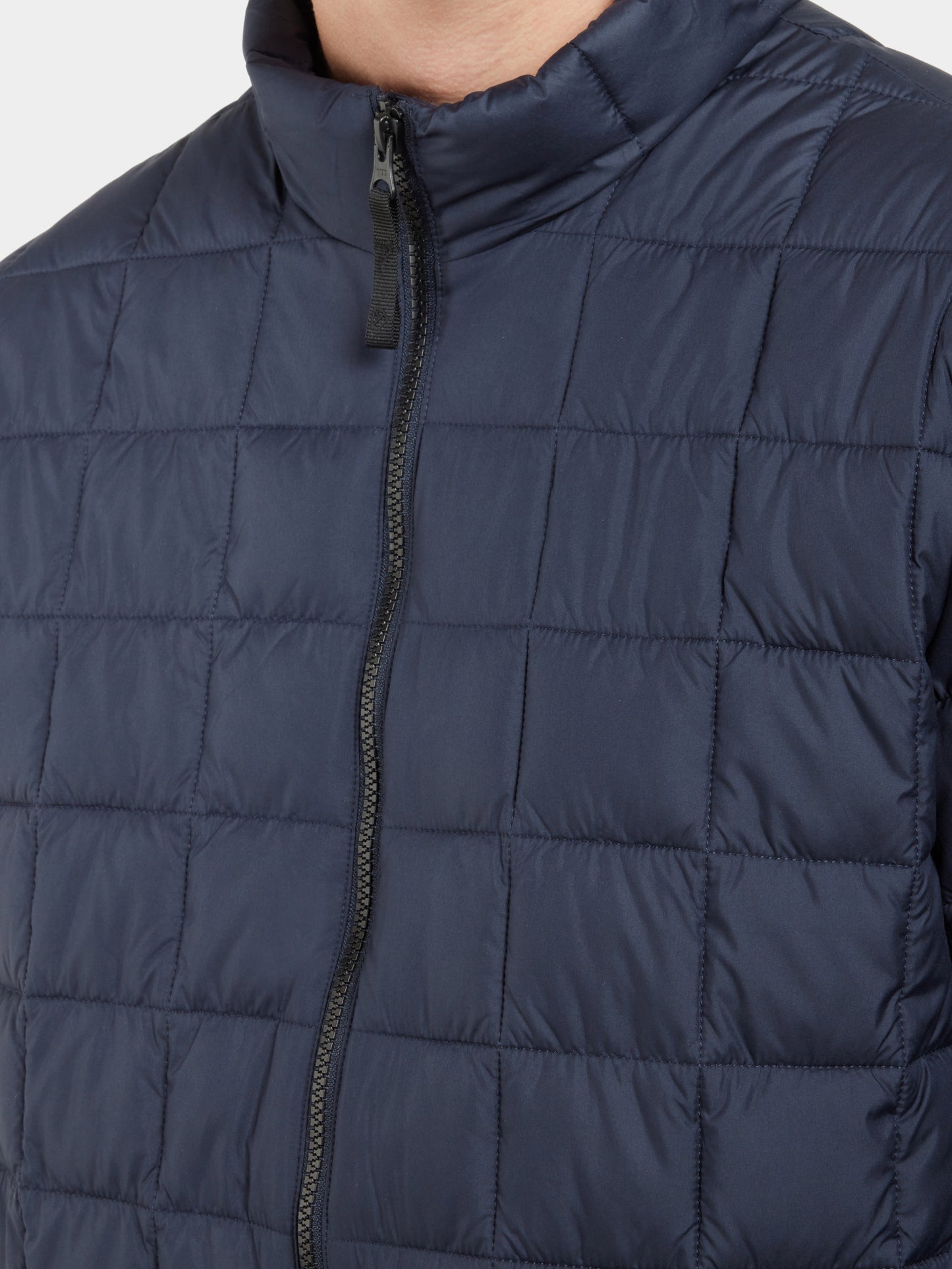 Jakki - Arthur Night Bluey