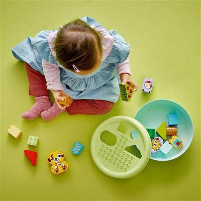 Duplo - Hunda Flokkunar Húsið