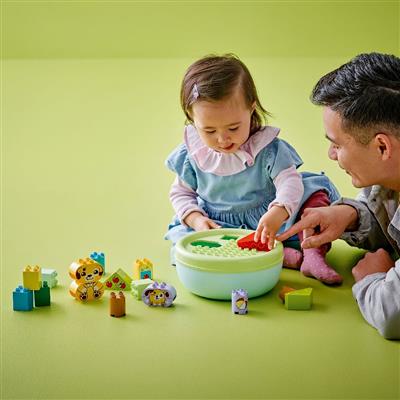 Duplo - Hunda Flokkunar Húsið